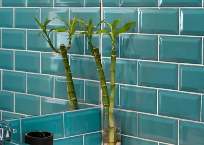 Apartment Emblematic View - Centre